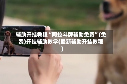 辅助开挂教程“阿拉斗牌辅助免费	”(免费)开挂辅助教学(最新辅助开挂教程)-第1张图片