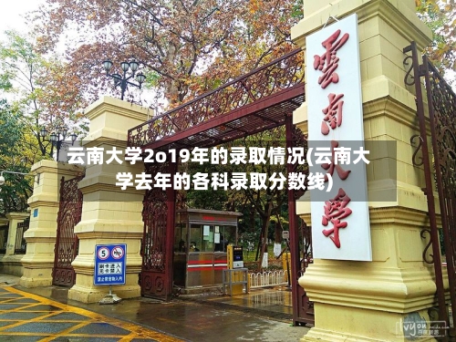 云南大学2o19年的录取情况(云南大学去年的各科录取分数线)-第1张图片