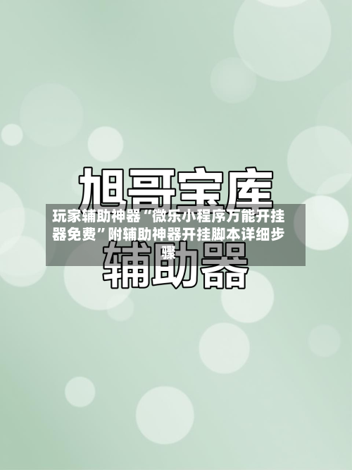 玩家辅助神器“微乐小程序万能开挂器免费”附辅助神器开挂脚本详细步骤