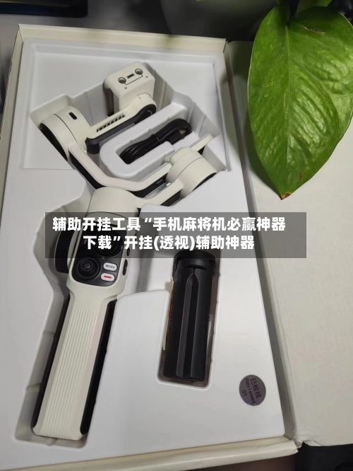 辅助开挂工具“手机麻将机必赢神器下载”开挂(透视)辅助神器
