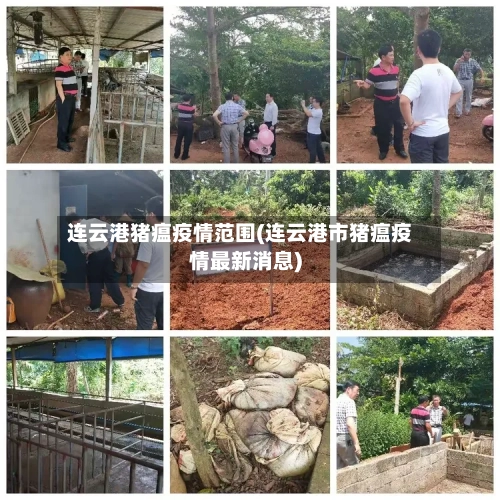 连云港猪瘟疫情范围(连云港市猪瘟疫情最新消息)