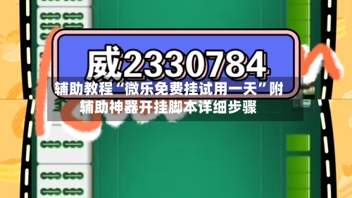 辅助教程“微乐免费挂试用一天”附辅助神器开挂脚本详细步骤-第2张图片