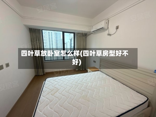 四叶草放卧室怎么样(四叶草房型好不好)-第2张图片