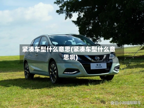 紧凑车型什么意思(紧凑车型什么意思啊)-第1张图片