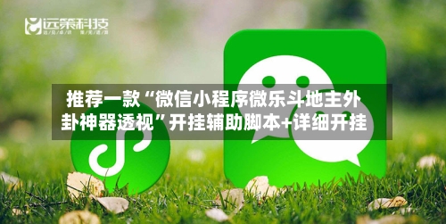 推荐一款“微信小程序微乐斗地主外卦神器透视”开挂辅助脚本+详细开挂-第3张图片