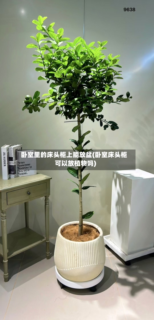 卧室里的床头柜上能放盆(卧室床头柜可以放植物吗)-第3张图片