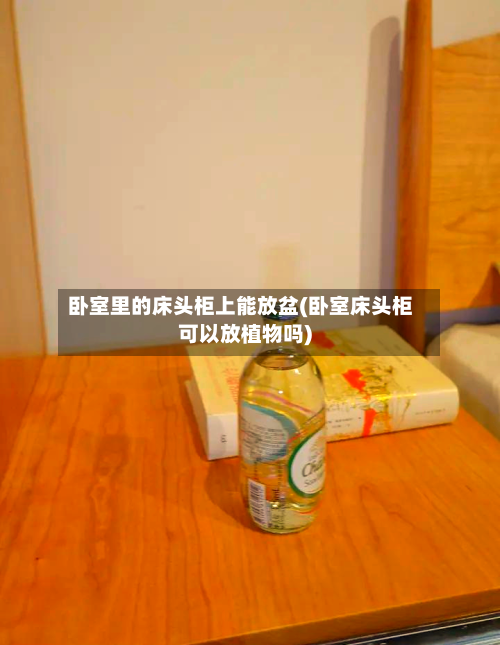 卧室里的床头柜上能放盆(卧室床头柜可以放植物吗)-第2张图片