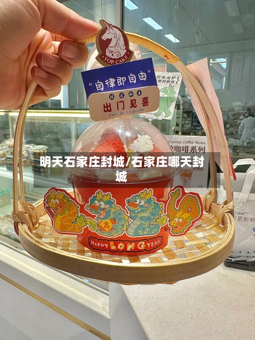 明天石家庄封城/石家庄哪天封城-第2张图片