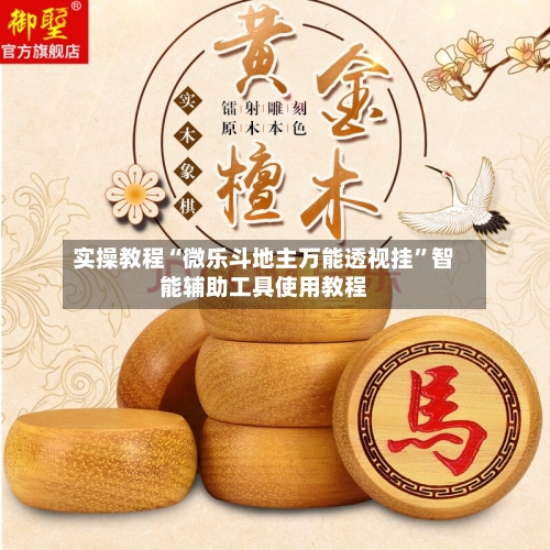 实操教程“微乐斗地主万能透视挂”智能辅助工具使用教程-第3张图片