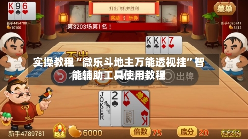 实操教程“微乐斗地主万能透视挂”智能辅助工具使用教程-第2张图片