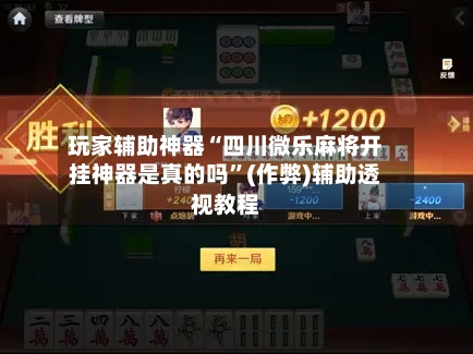 玩家辅助神器“四川微乐麻将开挂神器是真的吗”(作弊)辅助透视教程-第2张图片