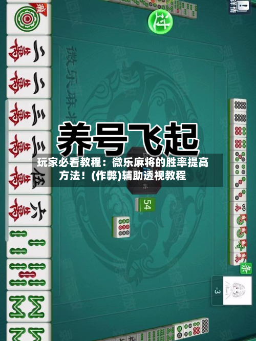 玩家必看教程：微乐麻将的胜率提高方法！(作弊)辅助透视教程-第1张图片