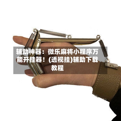 辅助神器：微乐麻将小程序万能开挂器！(透视挂)辅助下载教程-第2张图片