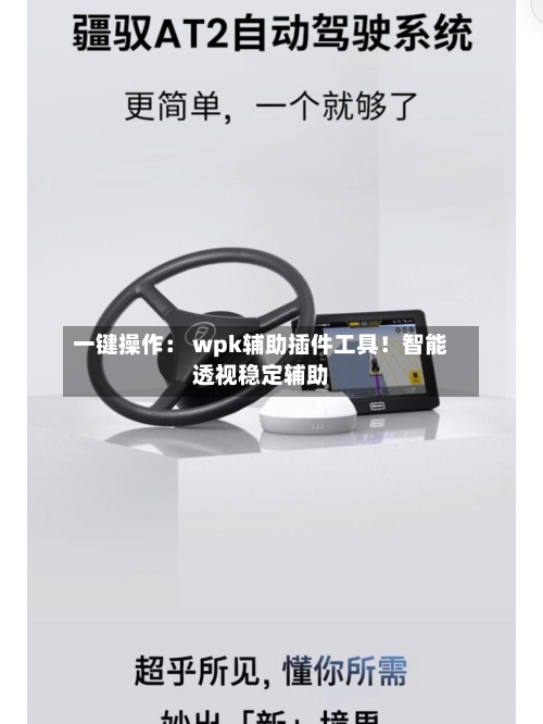 一键操作： wpk辅助插件工具！智能透视稳定辅助-第3张图片