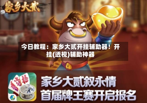 今日教程：家乡大贰开挂辅助器！开挂(透视)辅助神器-第2张图片