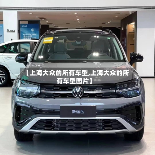 【上海大众的所有车型,上海大众的所有车型图片】-第3张图片