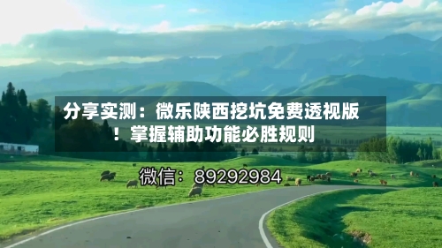 分享实测：微乐陕西挖坑免费透视版！掌握辅助功能必胜规则-第2张图片