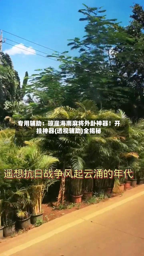 专用辅助：琼崖海南麻将外卦神器！开挂神器{透视辅助}全揭秘-第3张图片