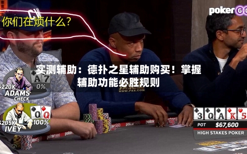 实测辅助：德扑之星辅助购买！掌握辅助功能必胜规则-第2张图片