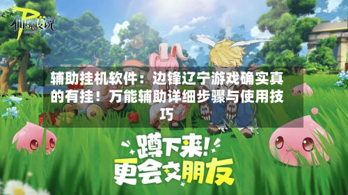 辅助挂机软件：边锋辽宁游戏确实真的有挂！万能辅助详细步骤与使用技巧-第2张图片