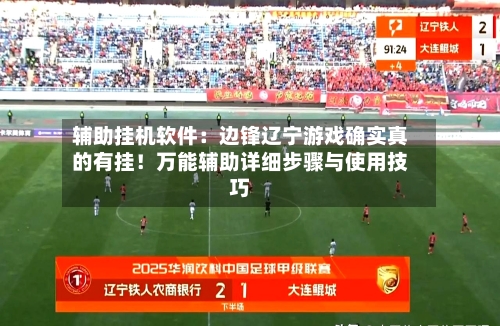 辅助挂机软件：边锋辽宁游戏确实真的有挂！万能辅助详细步骤与使用技巧-第1张图片