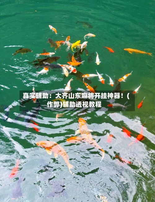 真实辅助：大齐山东麻将开挂神器！(作弊)辅助透视教程-第2张图片