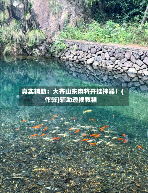 真实辅助：大齐山东麻将开挂神器！(作弊)辅助透视教程-第1张图片