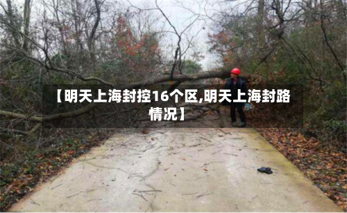 【明天上海封控16个区,明天上海封路情况】-第2张图片