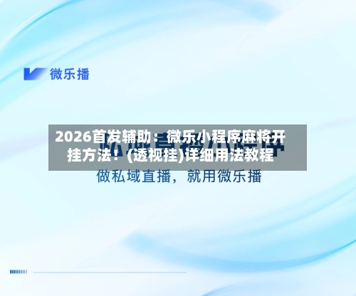 2026首发辅助：微乐小程序麻将开挂方法！(透视挂)详细用法教程-第3张图片