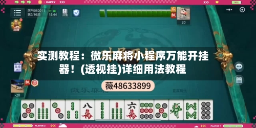 实测教程：微乐麻将小程序万能开挂器！(透视挂)详细用法教程-第1张图片